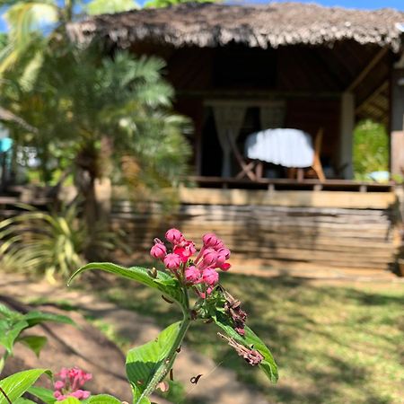 Bed and Breakfast Les Jardins D'Ankify Andimaka Esterno foto