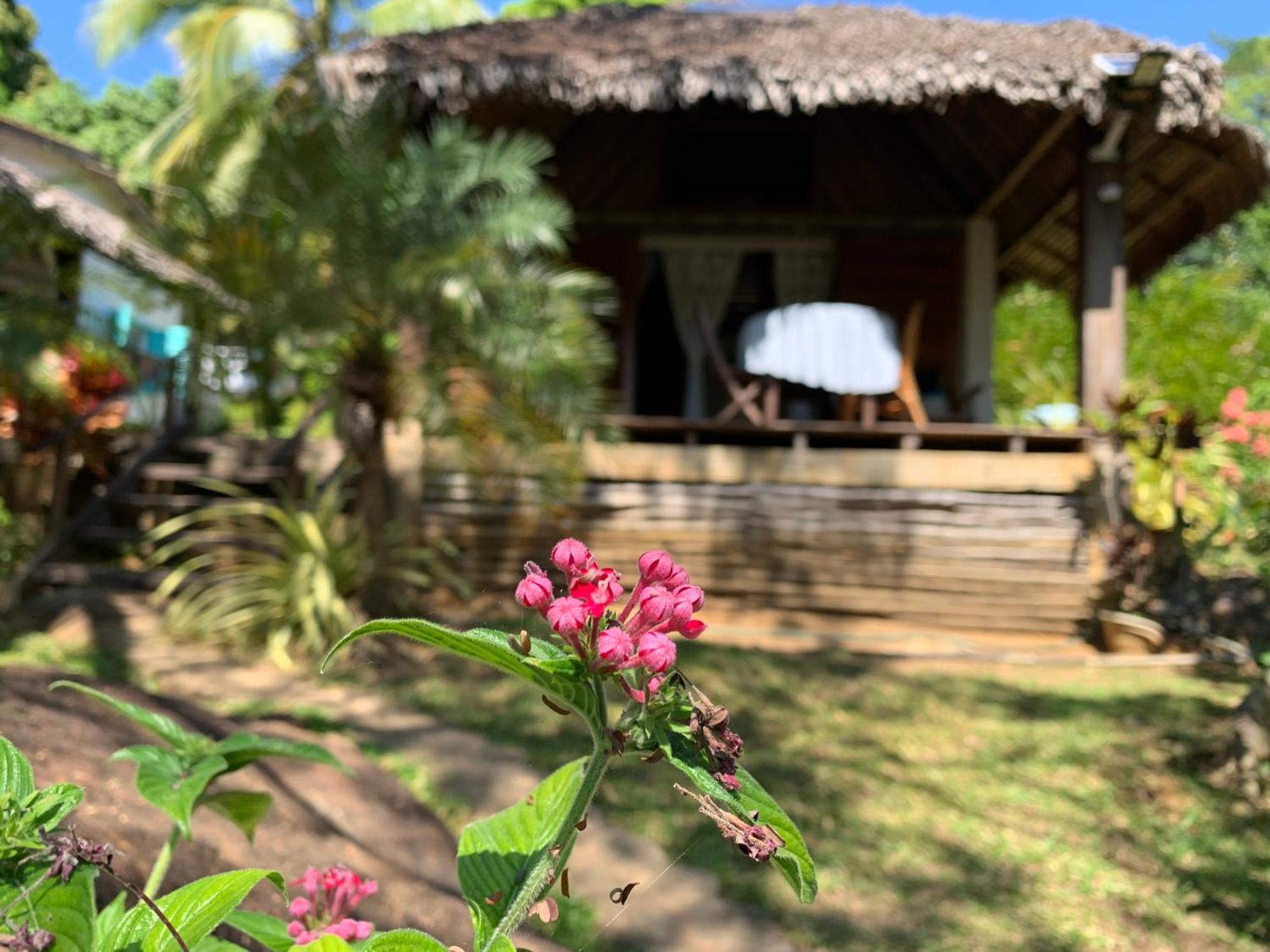 Bed and Breakfast Les Jardins D'Ankify Andimaka Esterno foto
