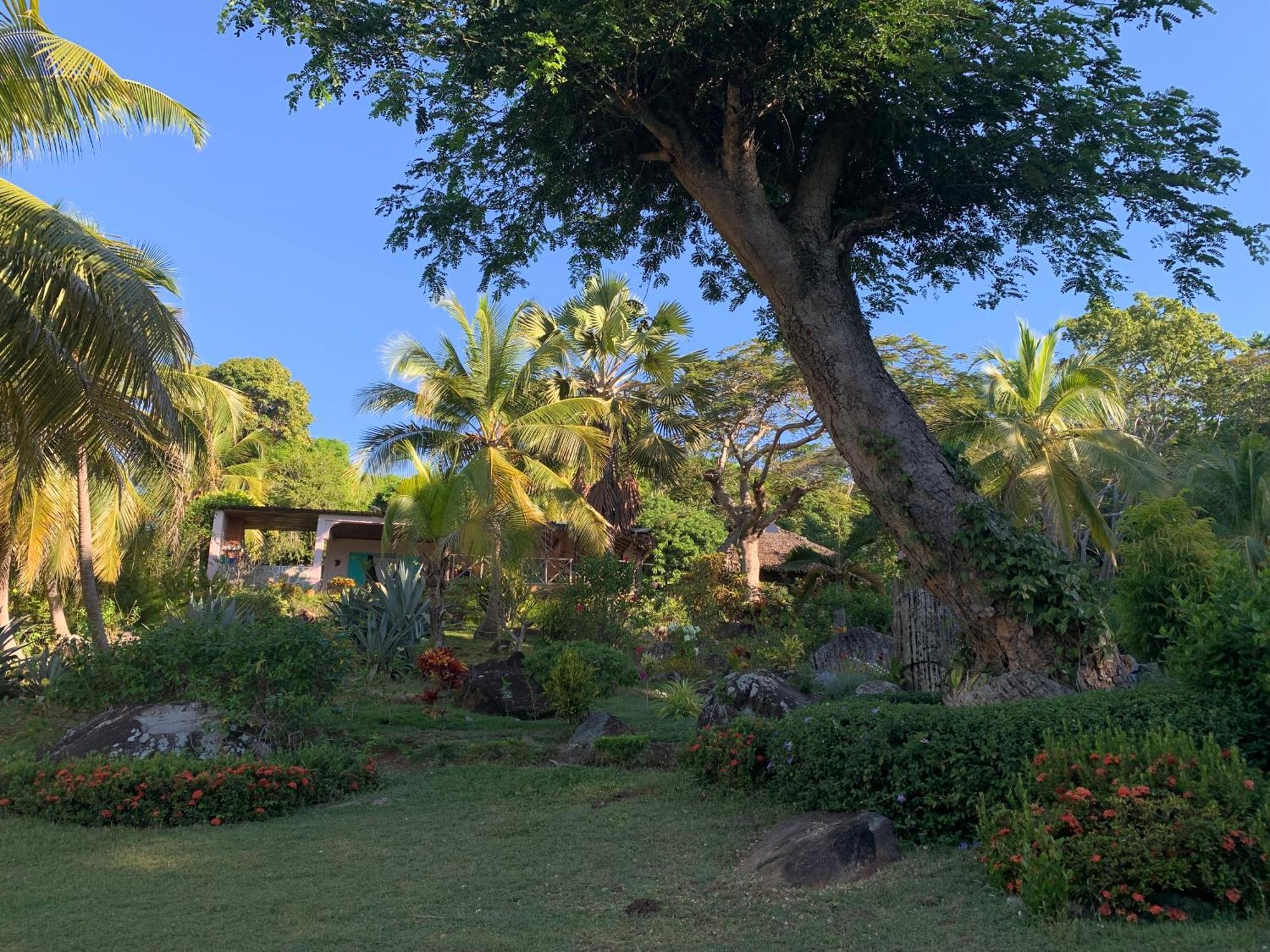 Bed and Breakfast Les Jardins D'Ankify Andimaka Esterno foto