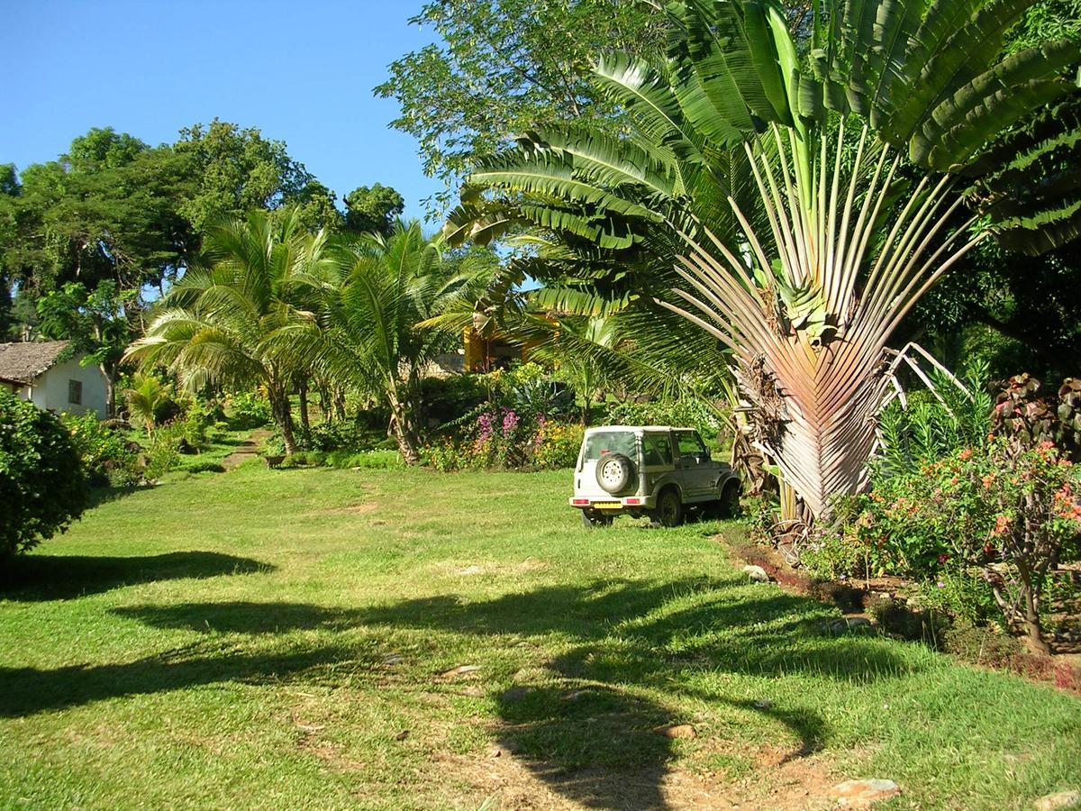 Bed and Breakfast Les Jardins D'Ankify Andimaka Esterno foto