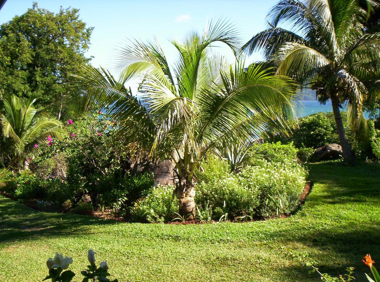 Bed and Breakfast Les Jardins D'Ankify Andimaka Esterno foto