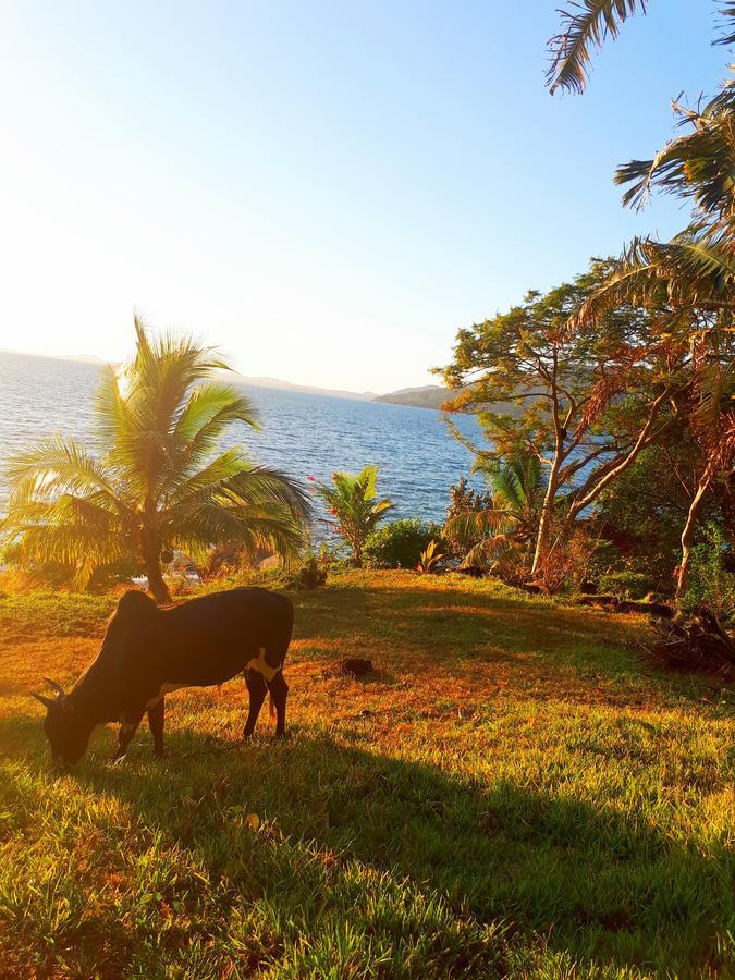 Bed and Breakfast Les Jardins D'Ankify Andimaka Esterno foto