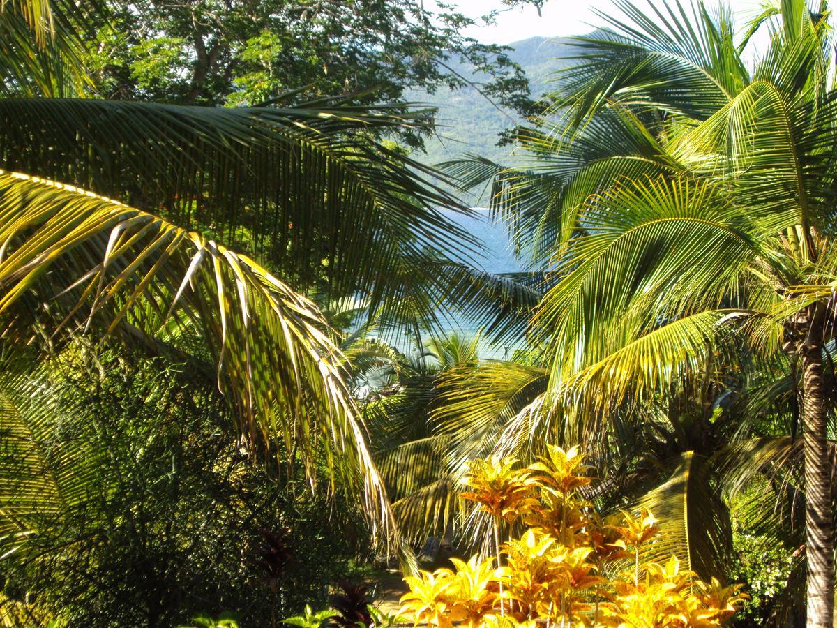 Bed and Breakfast Les Jardins D'Ankify Andimaka Esterno foto